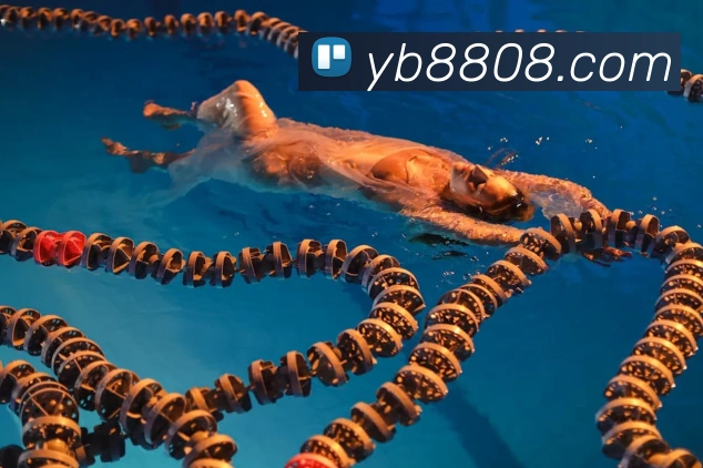 yb亚博APP 高清赛事图